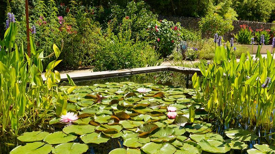 Le jardin des bassins d'Eugène à la Bambouseraie