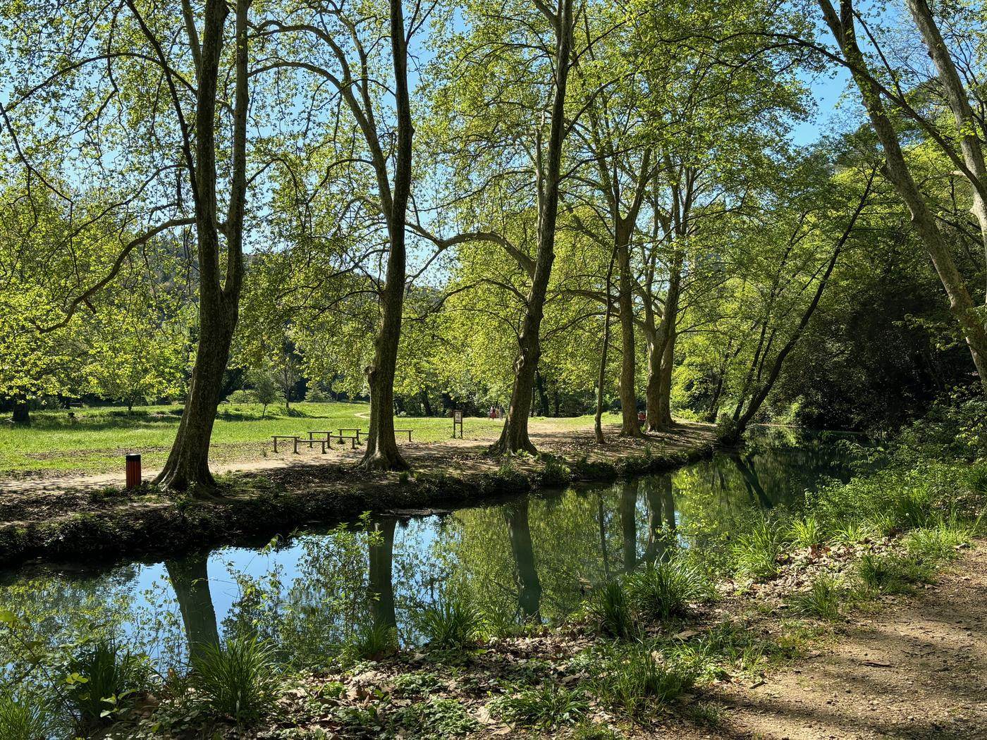 La vallée de l'Eure sous les platanes, au pied d'Uzès